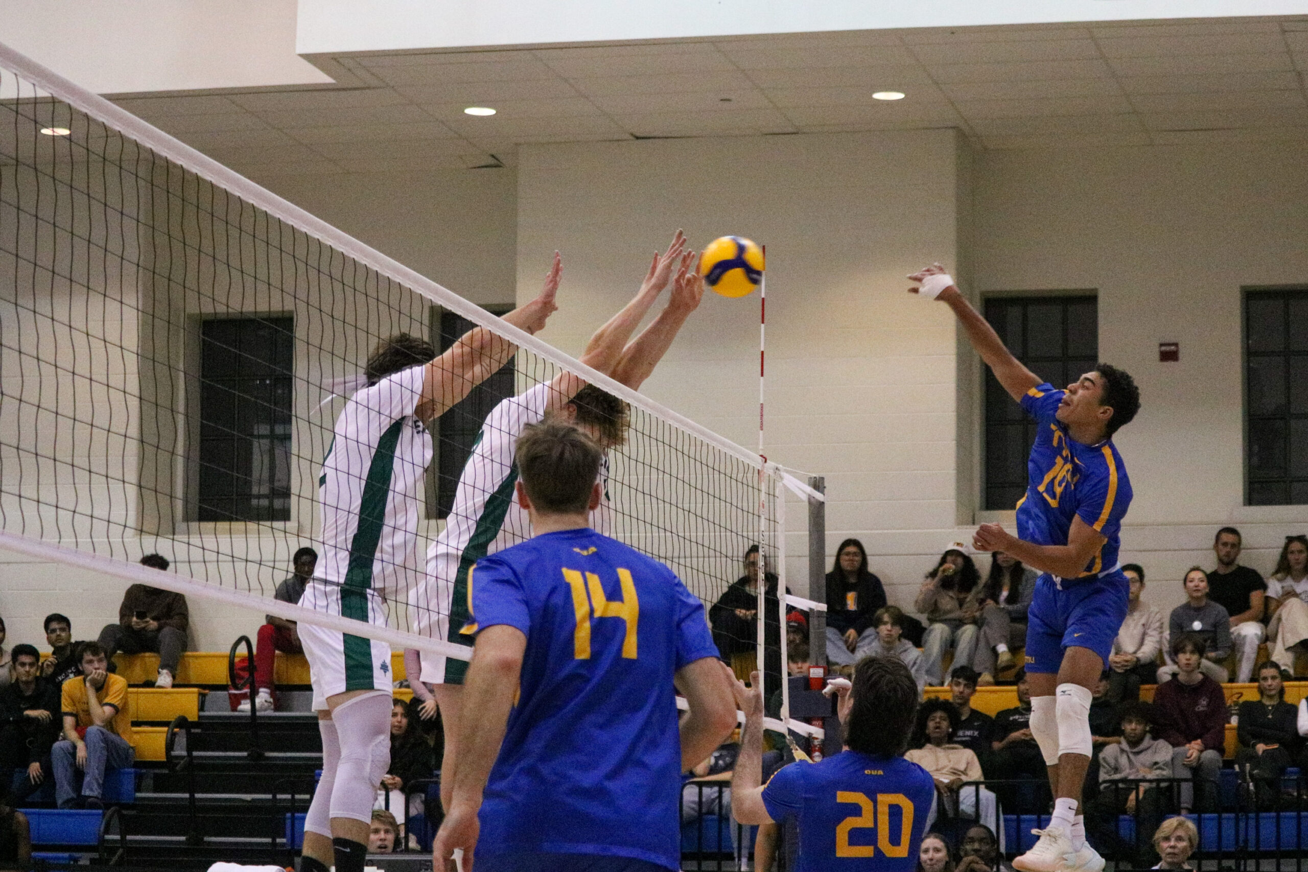 TMU Bold men's volleyball player Jacob Walker hits a spike into Trent Exclaibur blockers